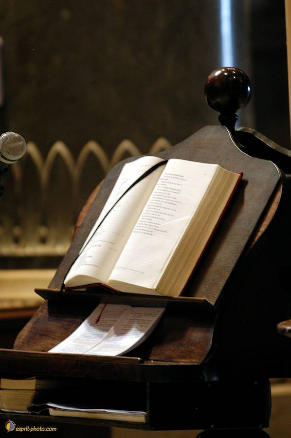 Nom de l'image : D1031523_(c)Norbert-JUNG — Description :